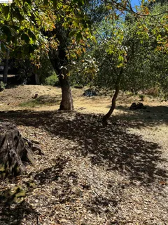 $139,000 | Spring Road, Orinda, CA 94563