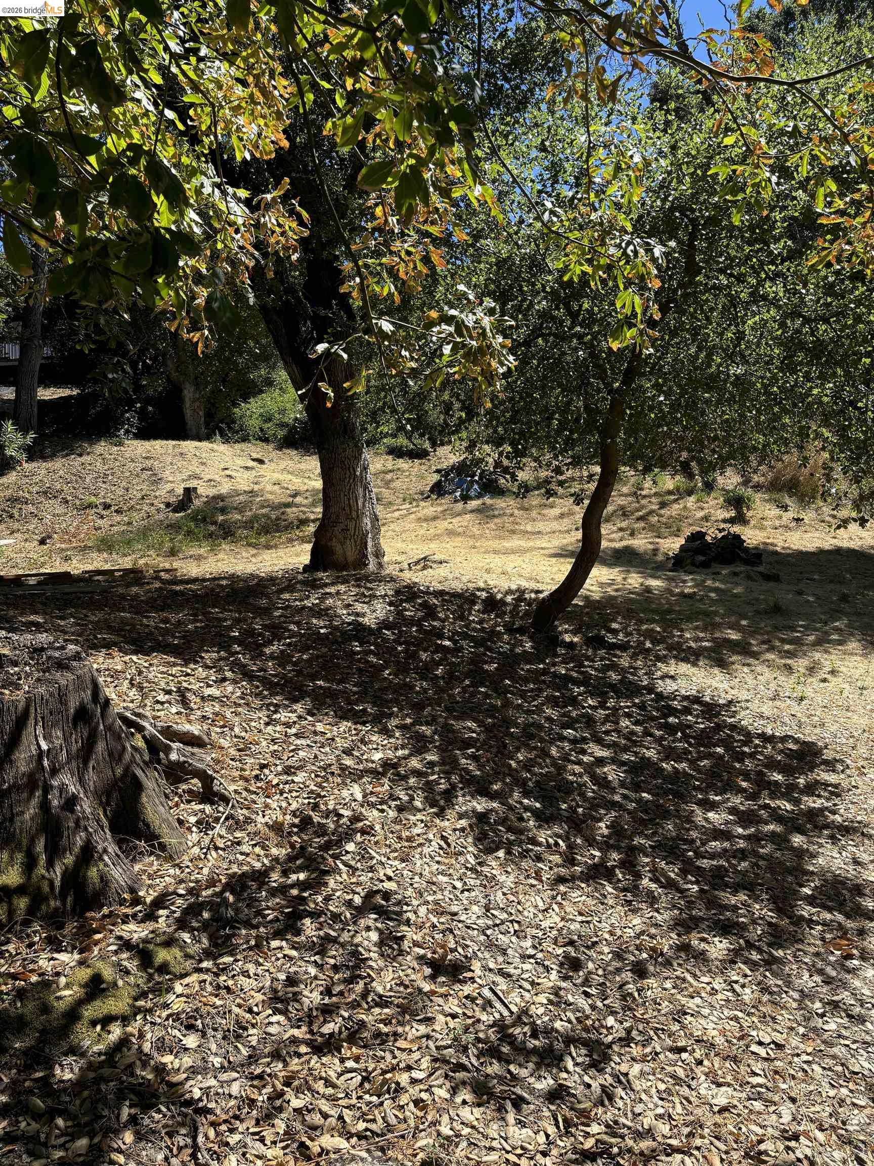 Spring Road Orinda, CA 94563 - Photo 3 of 7