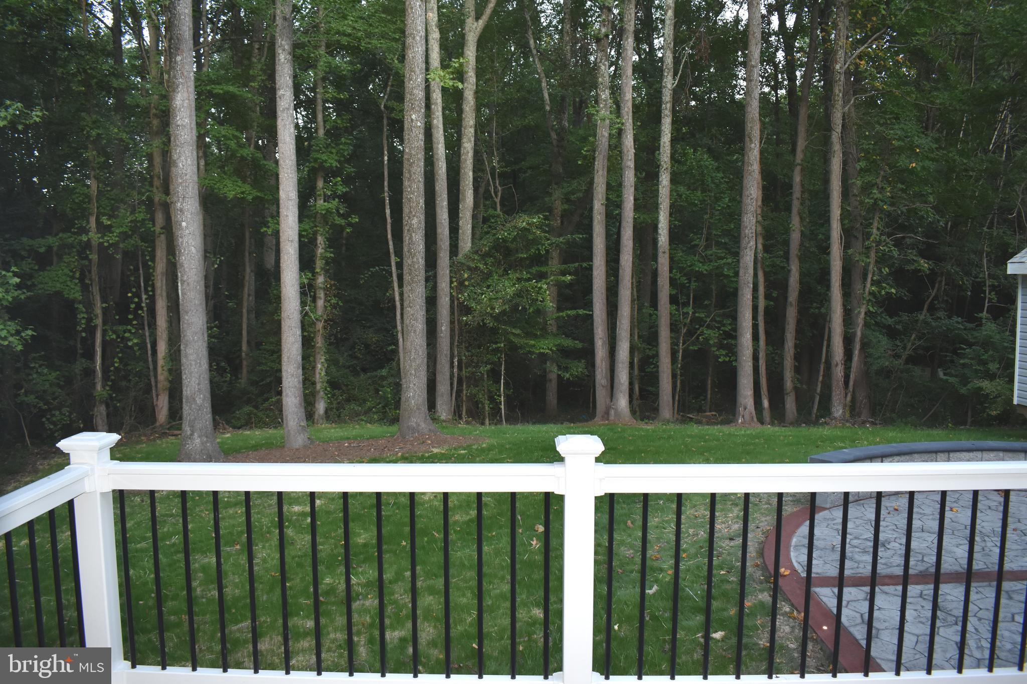 9397 Inaugural Drive King George, VA 22485 - Photo 34 of 37 View From the Deck of Your Private Backyard