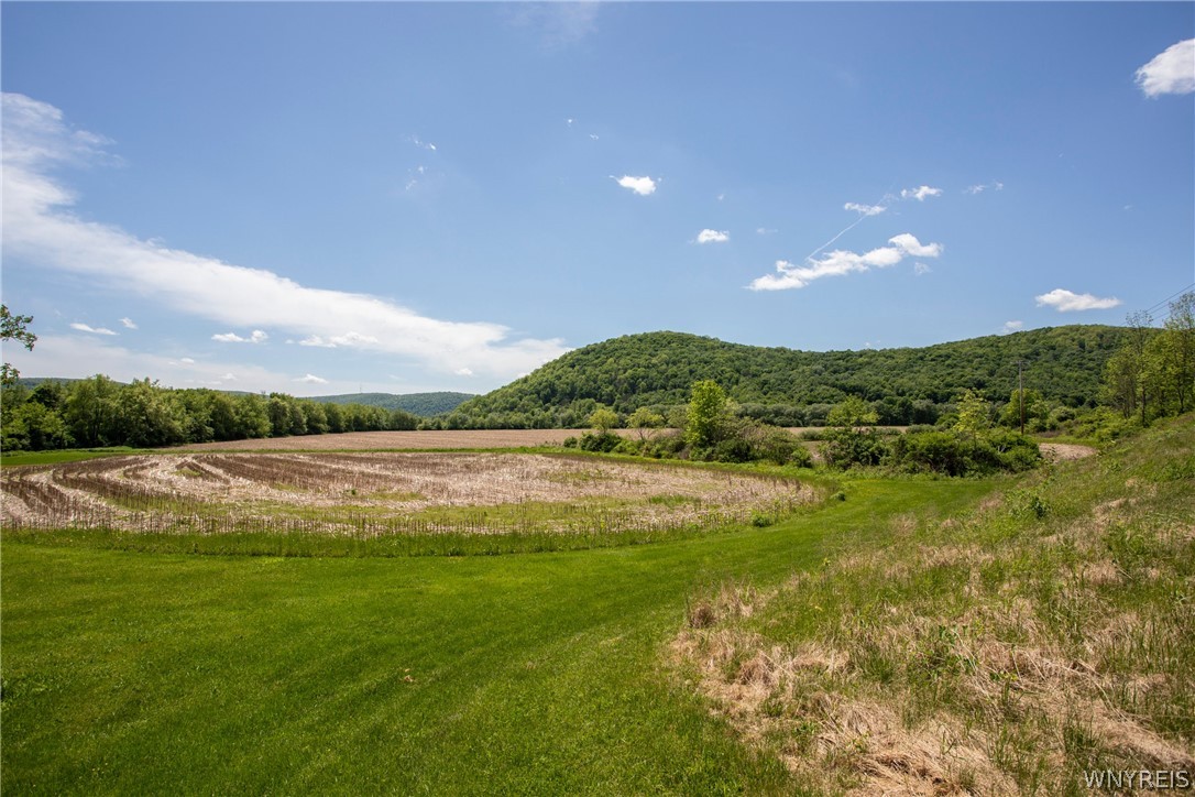 6122 Mutton Hollow Road Great Valley, NY 14741 - Photo 9 of 47
