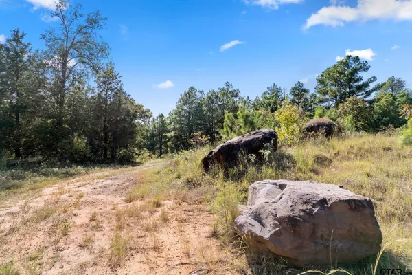 $155,000 | 3350 Mt Vernon Tx 75457, Scroggins, TX 75480