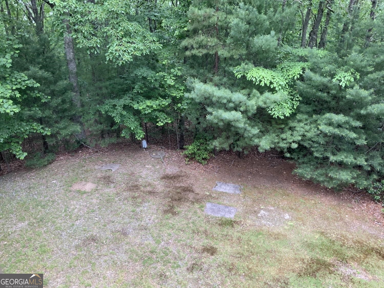 277 Hamilton Road Blairsville, GA 30512 - Photo 27 of 27 a view of a forest with trees in the background
