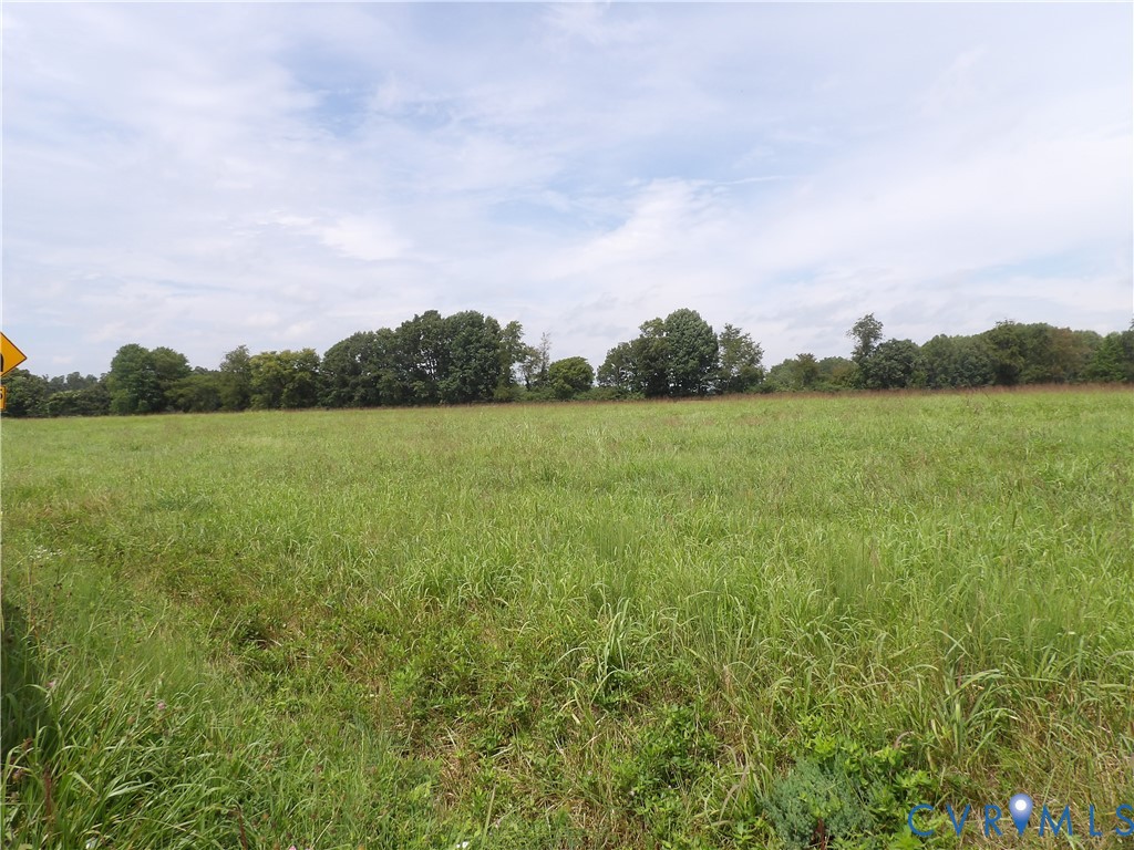 2137 Good Hope Road Crewe, VA 23930 - Photo 60 of 67 Expansive open field with natural vegetation and d