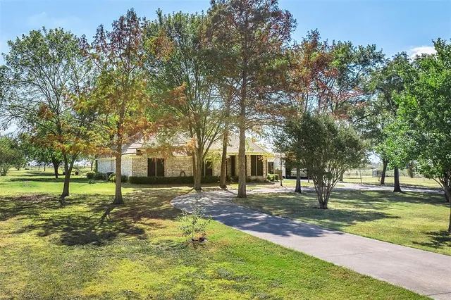 a view of a park with large trees