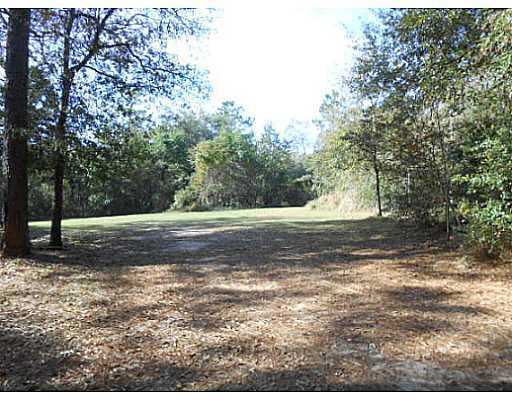 213 New Hope Church Road Lucedale, MS 39452 - Photo 3 of 6 Additional Photo