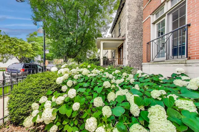 $810,000 | 1645 West Addison Street, Unit 1, Chicago, IL 60613