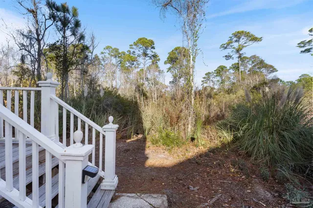 a view of a backyard with plants and a patio