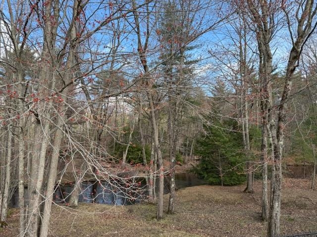 68 Daffodil Hill Lane Rochester, NH 03868 - Photo 47 of 51