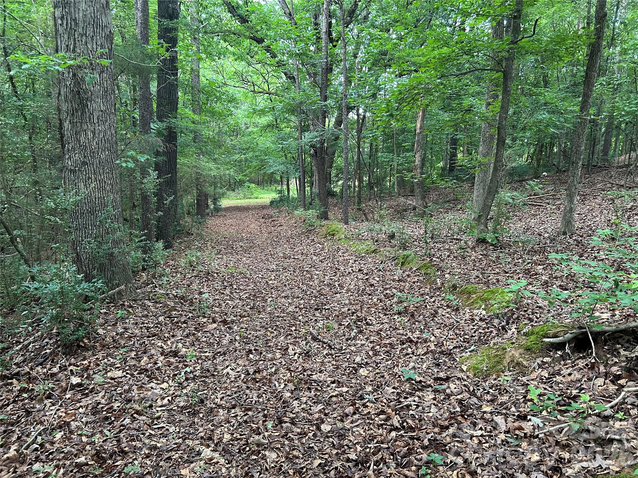 3909 Wightman Church Road Polkton, NC 28135 - Photo 38 of 48