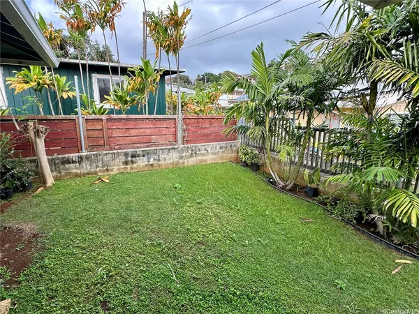 a small garden covered with tall trees