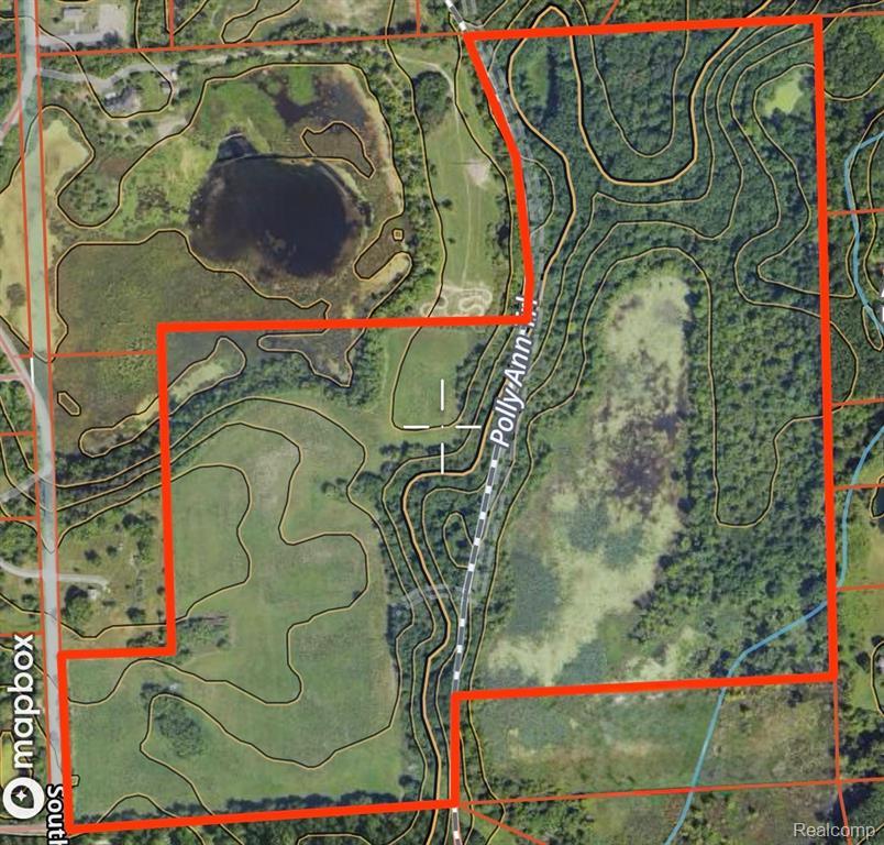 Vl South Mill Road Dryden, MI 48428 - Photo 1 of 13
