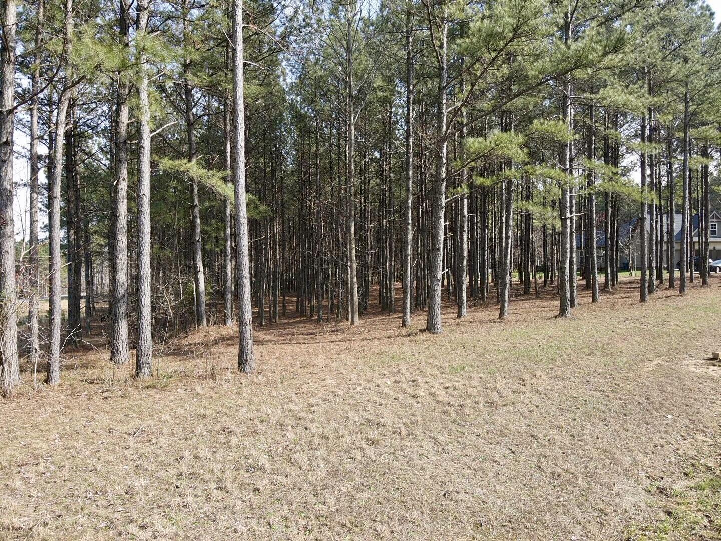 179 High Point Lane Jasper, TN 37347 - Photo 23 of 91 2024-03-21-15-55-04-495