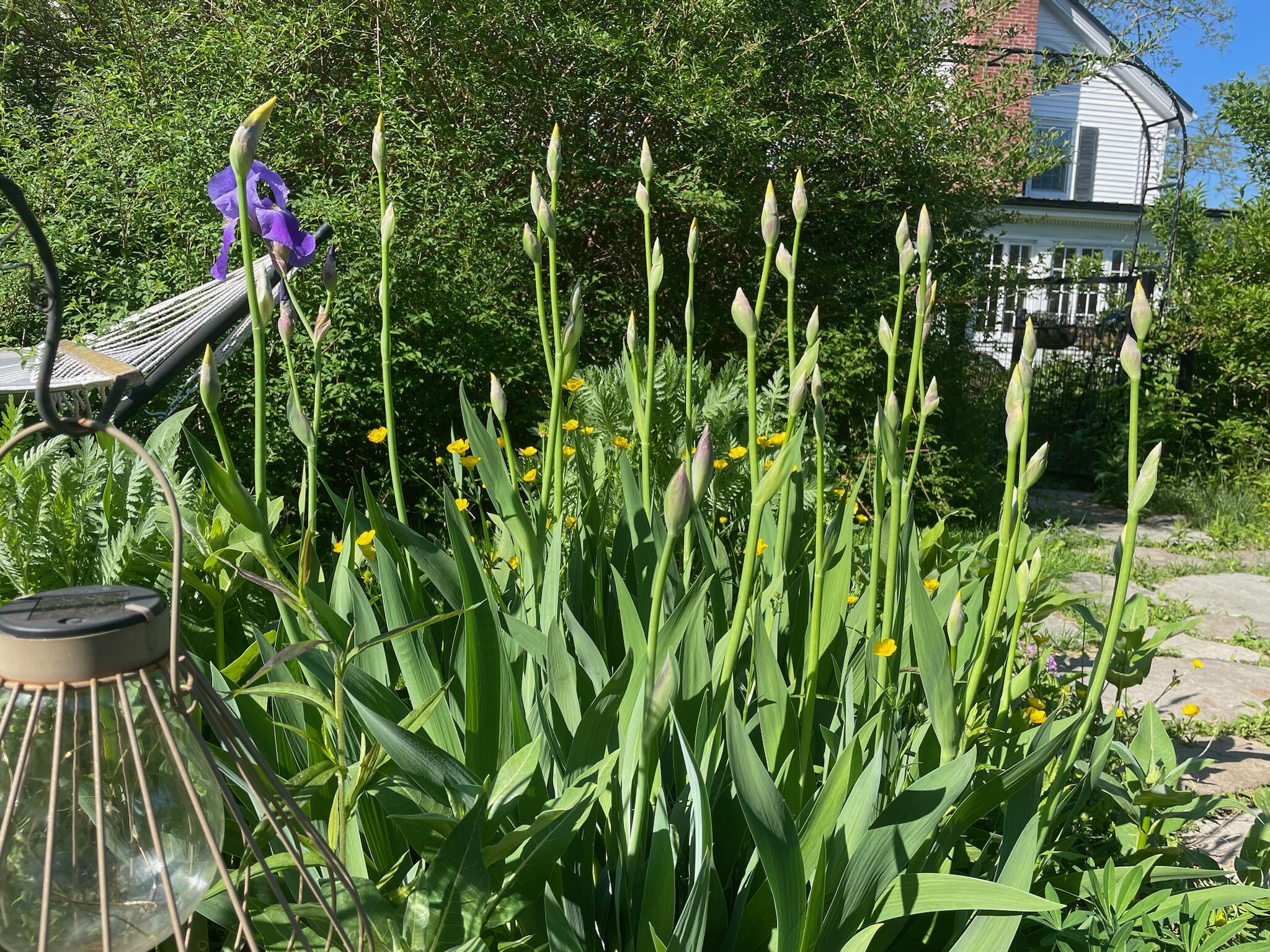 664 River Road Orrington, ME 04474 - Photo 86 of 94 IMG_6768