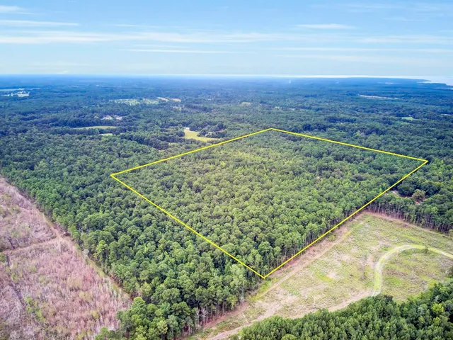 $528,000 | 0 Russellville Road, St. Stephen, SC 29479