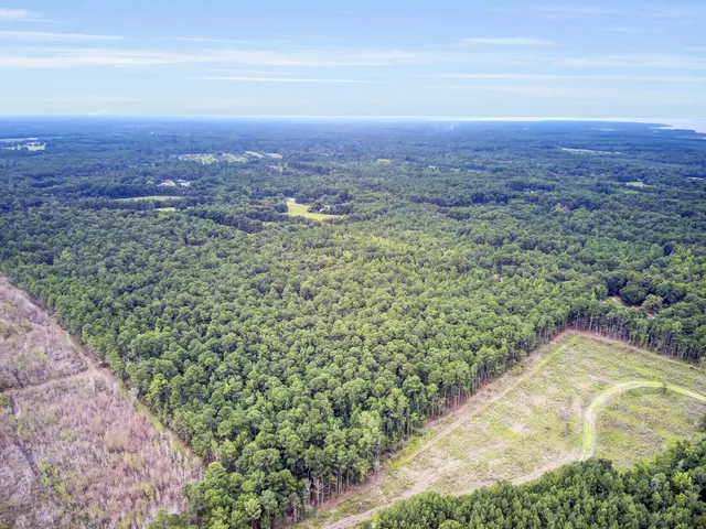 $528,000 | 0 Russellville Road, St. Stephen, SC 29479