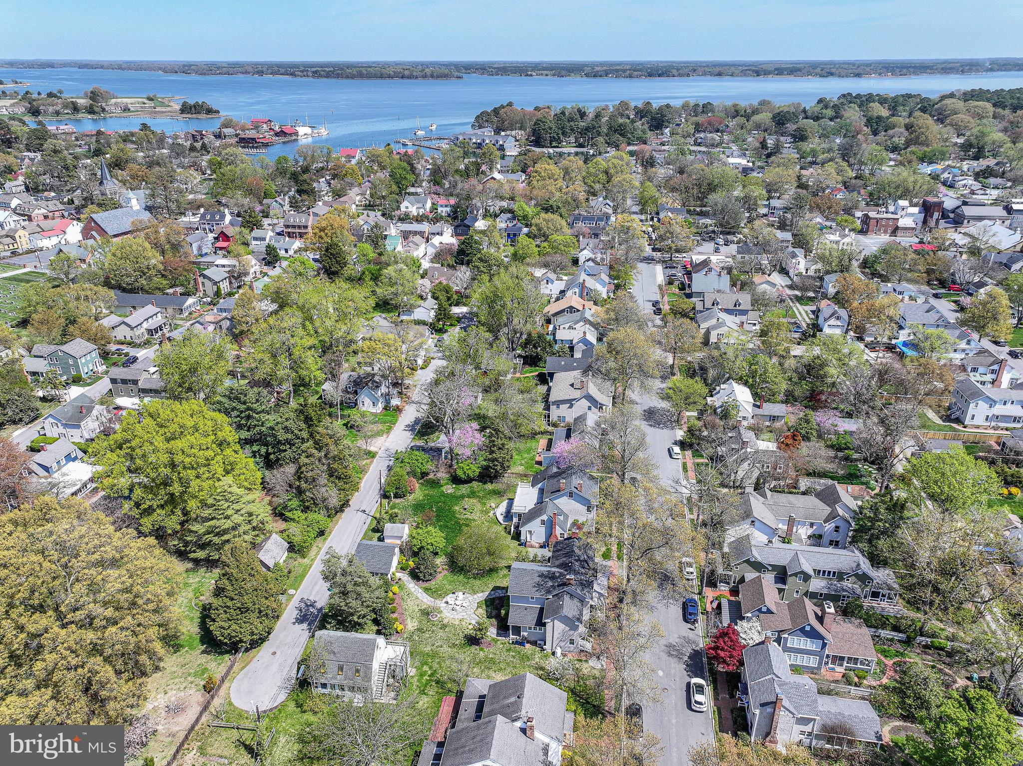 121 West Chestnut Street St. Michaels, MD 21663 - Photo 5 of 56