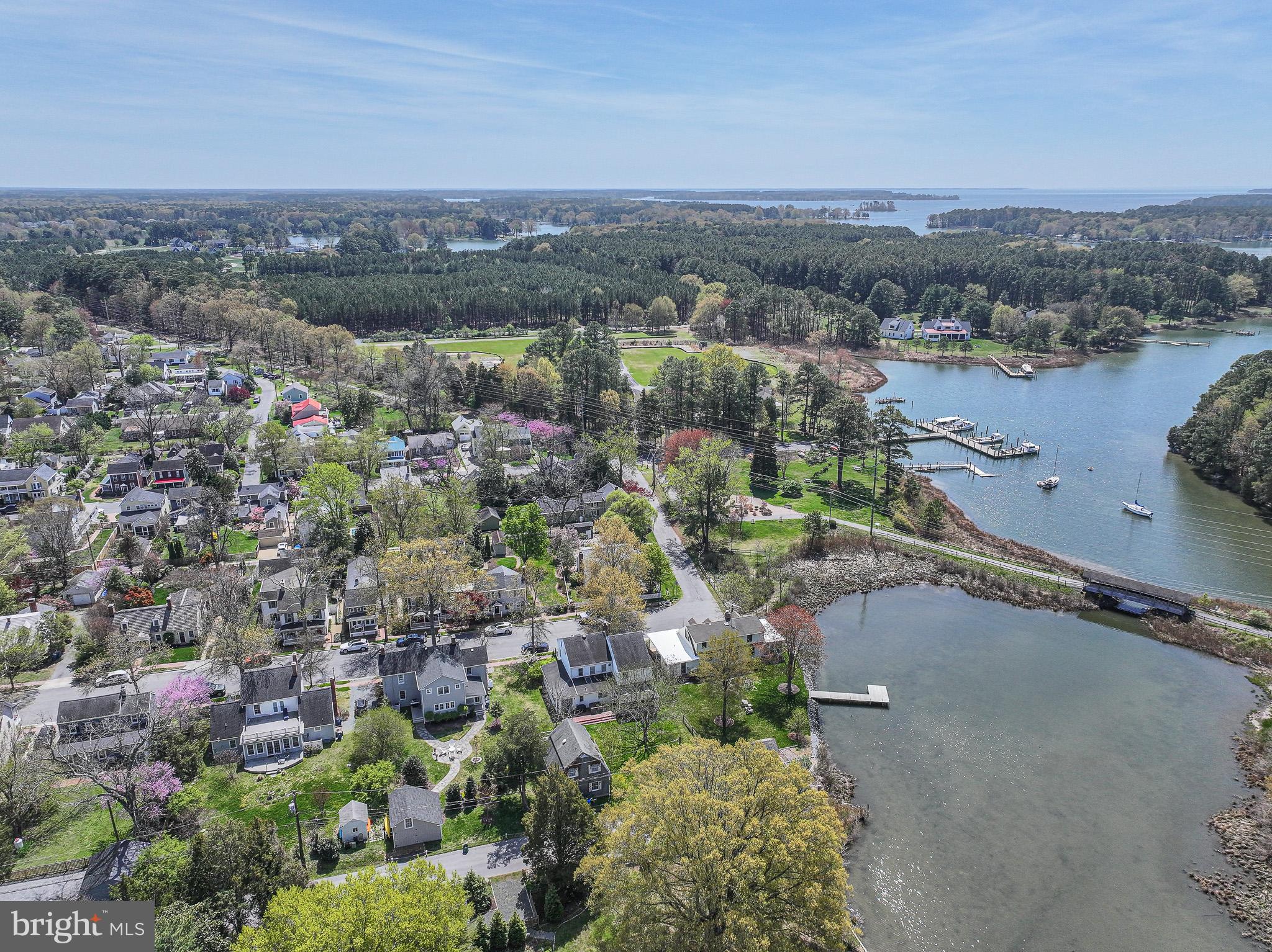 121 West Chestnut Street St. Michaels, MD 21663 - Photo 6 of 56