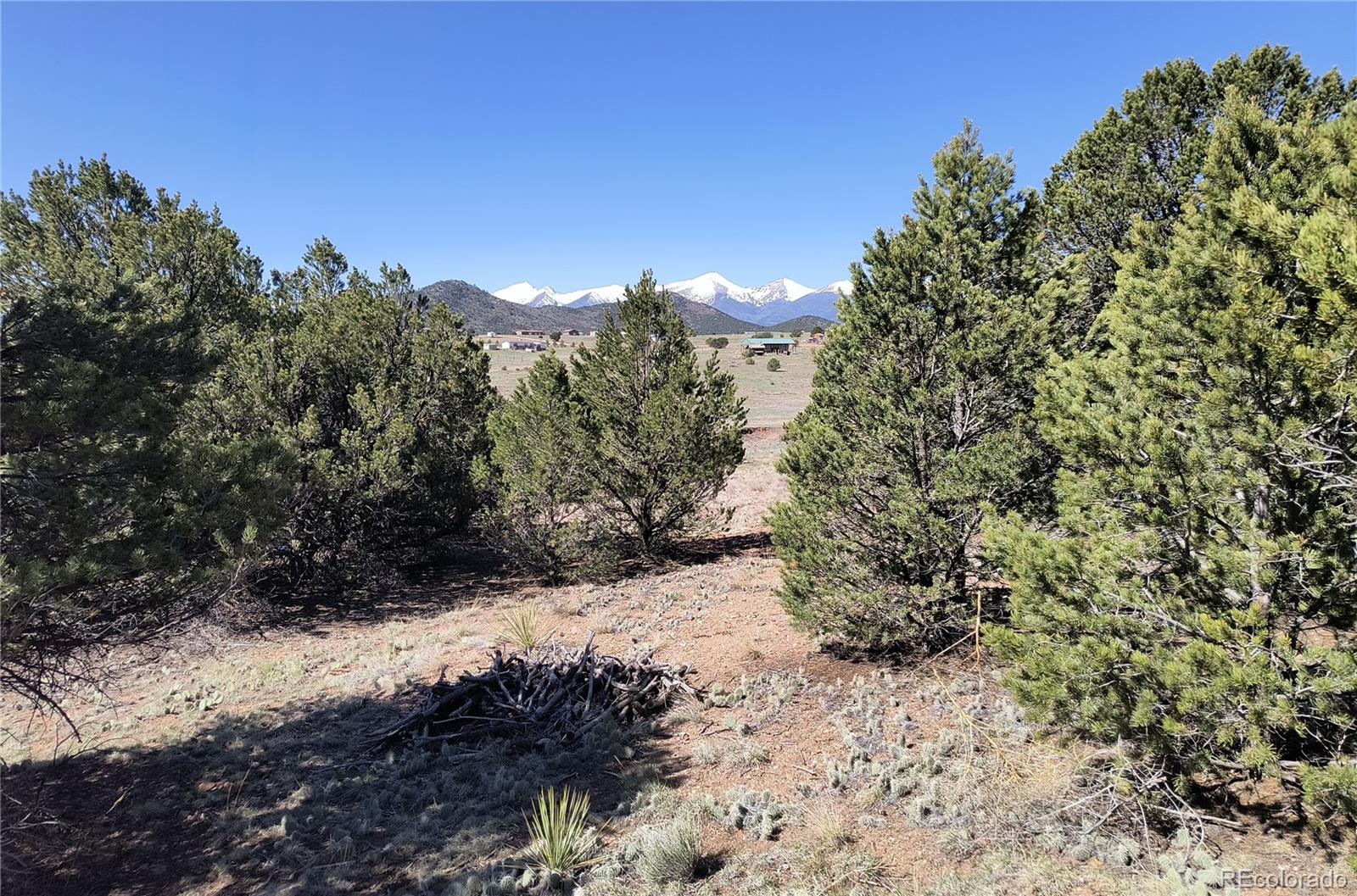 18th Cotopaxi, CO 81223 - Photo 1 of 1 a view of a yard with a tree