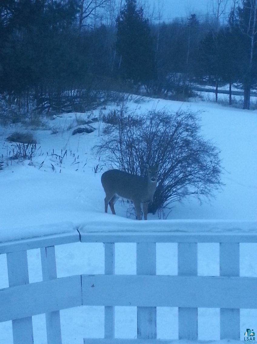 8 Lakewood Road Duluth, MN 55804 - Photo 29 of 30