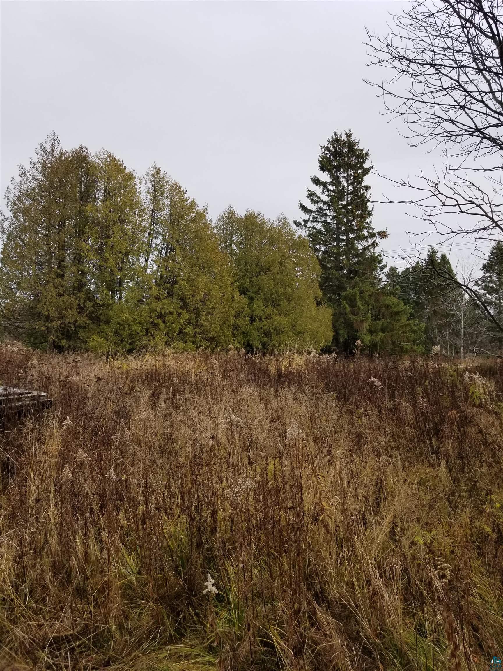 8 Lakewood Road Duluth, MN 55804 - Photo 4 of 30