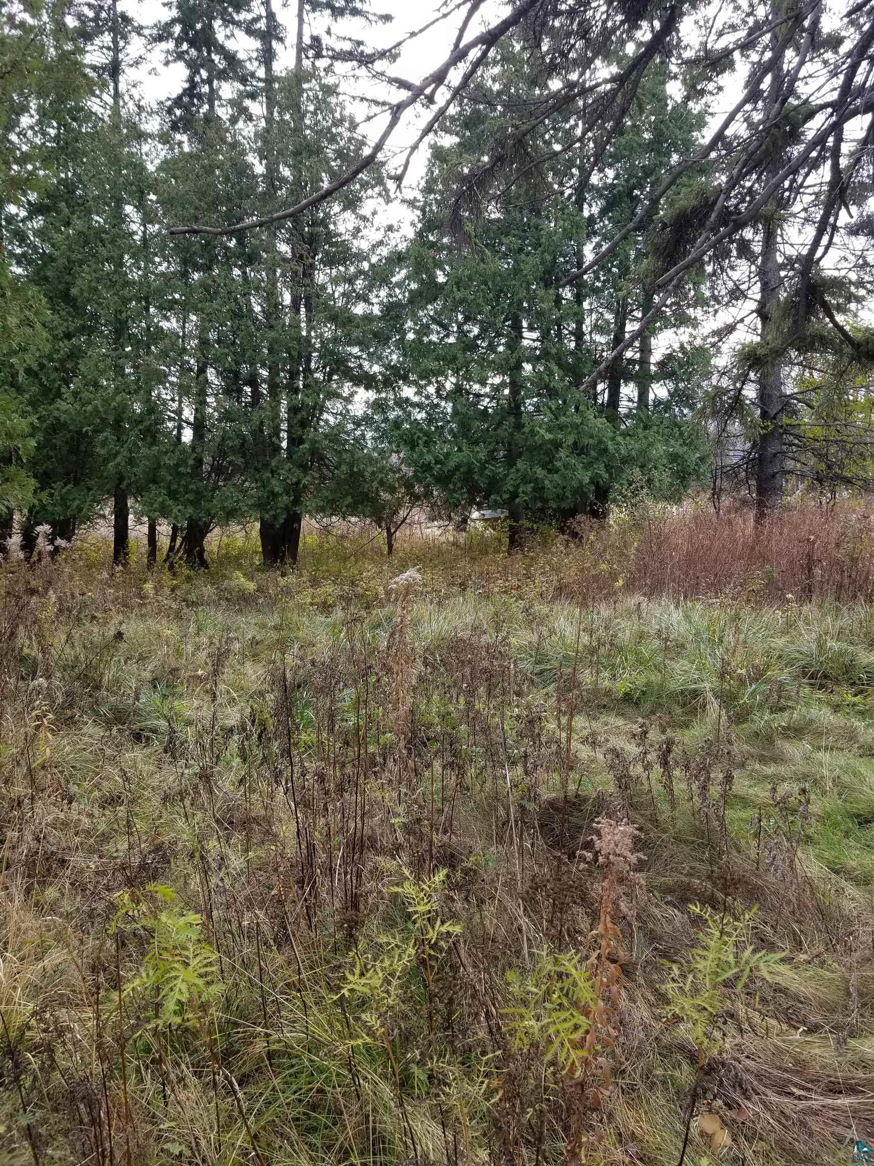 8 Lakewood Road Duluth, MN 55804 - Photo 9 of 30