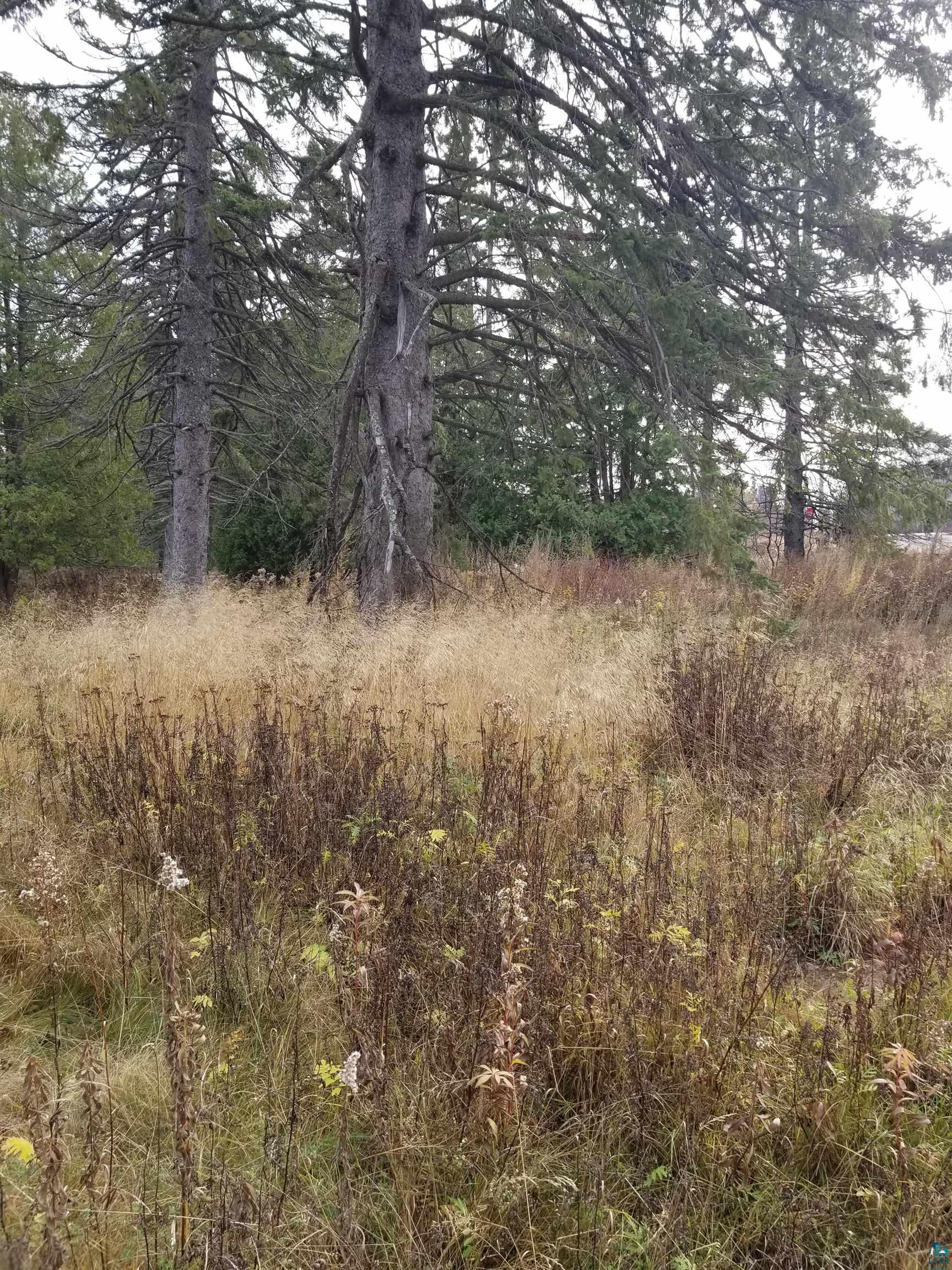 8 Lakewood Road Duluth, MN 55804 - Photo 10 of 30