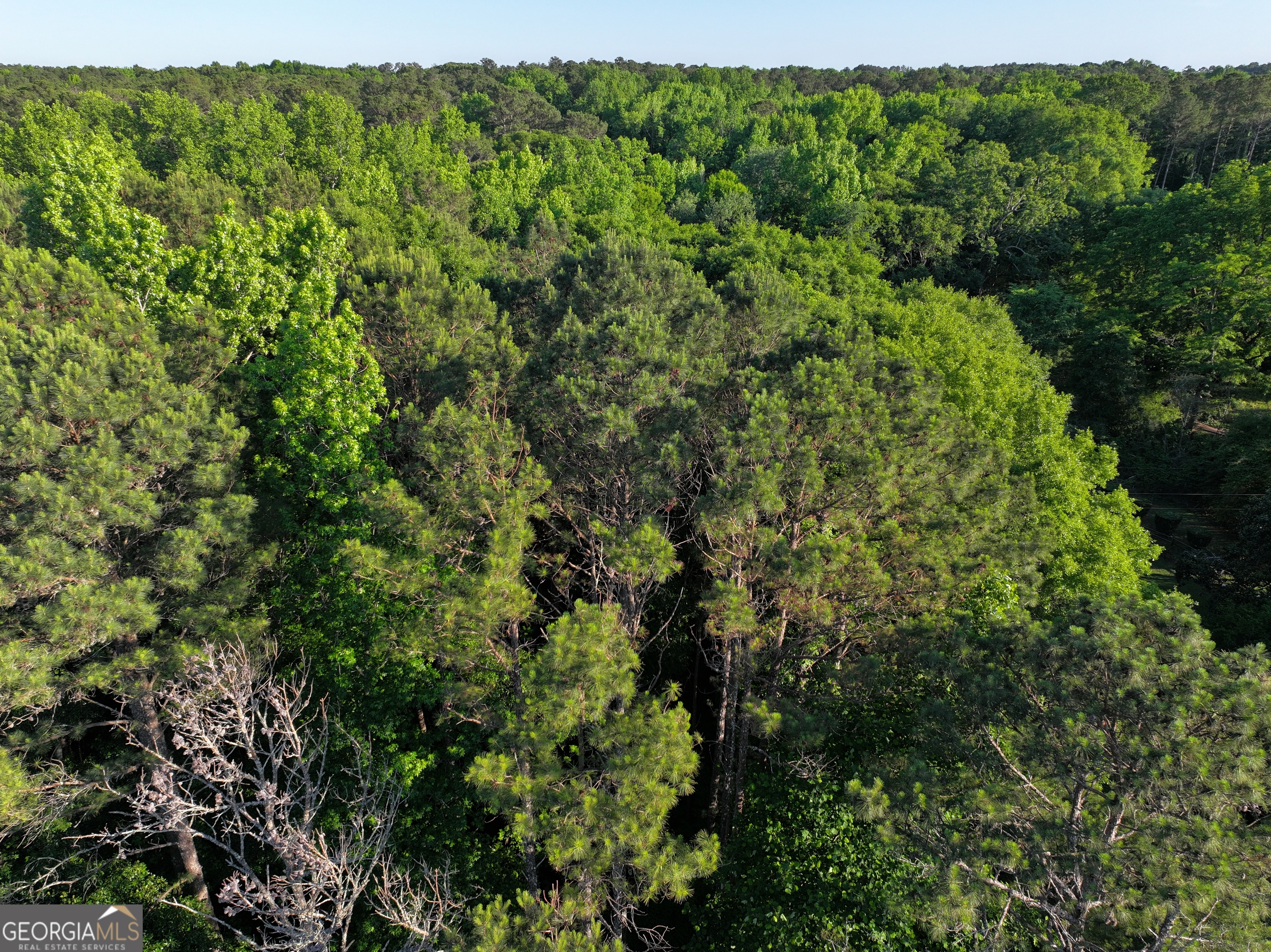 0 Standing Rock Road Senoia, GA 30276 - Photo 12 of 17