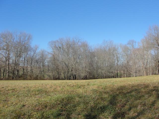 1455 Old Bull Road Eubank, KY 42567 - Photo 5 of 19 Additional Photo