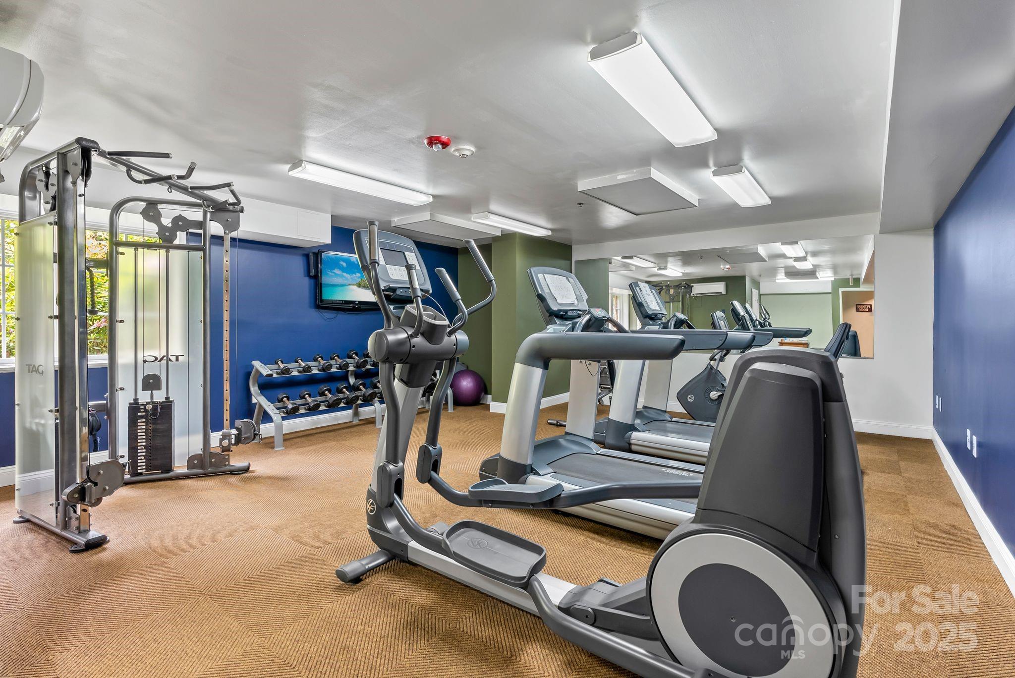 429 Bowling Park Road Asheville, NC 28803 - Photo 23 of 30 a view of a room with gym equipment