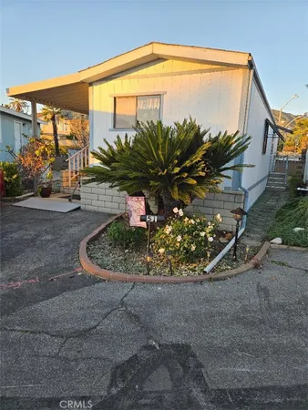 a view of a palm plant in front of a house