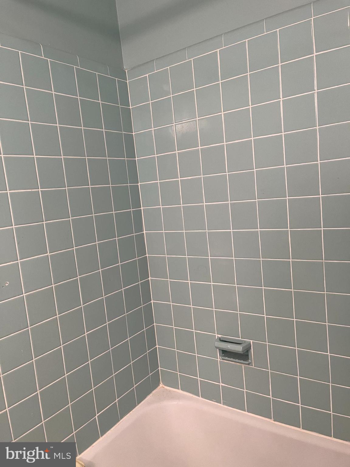 7900 Old York Road, Unit 208B Elkins Park, PA 19027 - Photo 20 of 26 Shower area