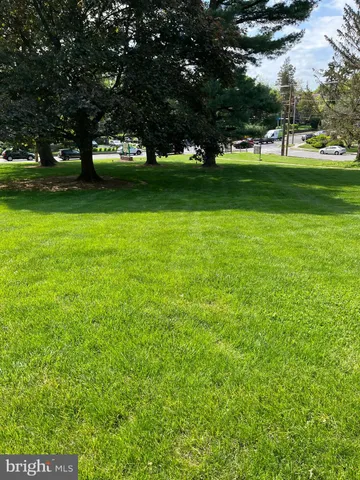 a view of field with trees