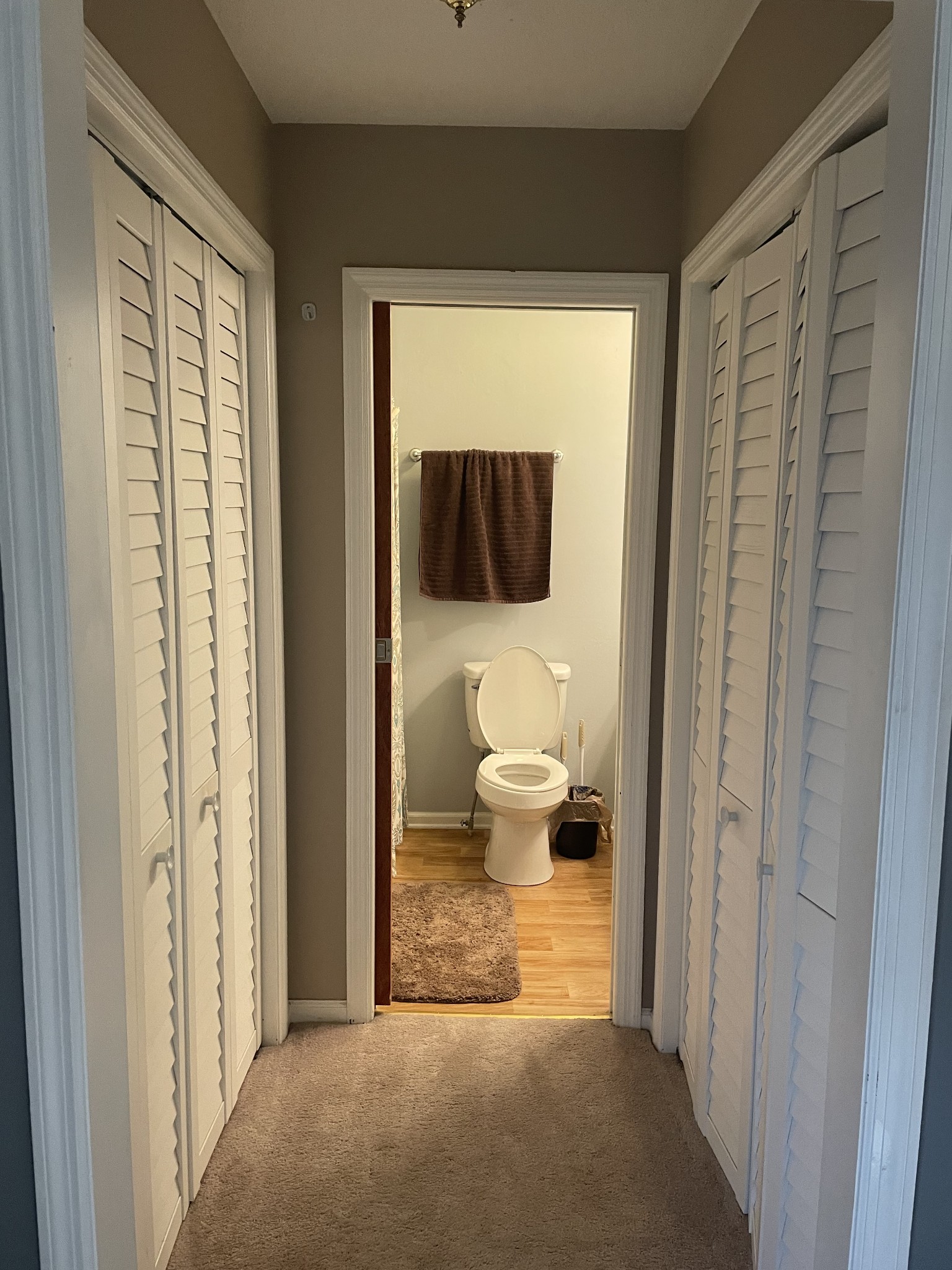 829 Dripping Springs Road Winchester, TN 37398 - Photo 14 of 32 a view of bathroom with a toilet and a shower curtain