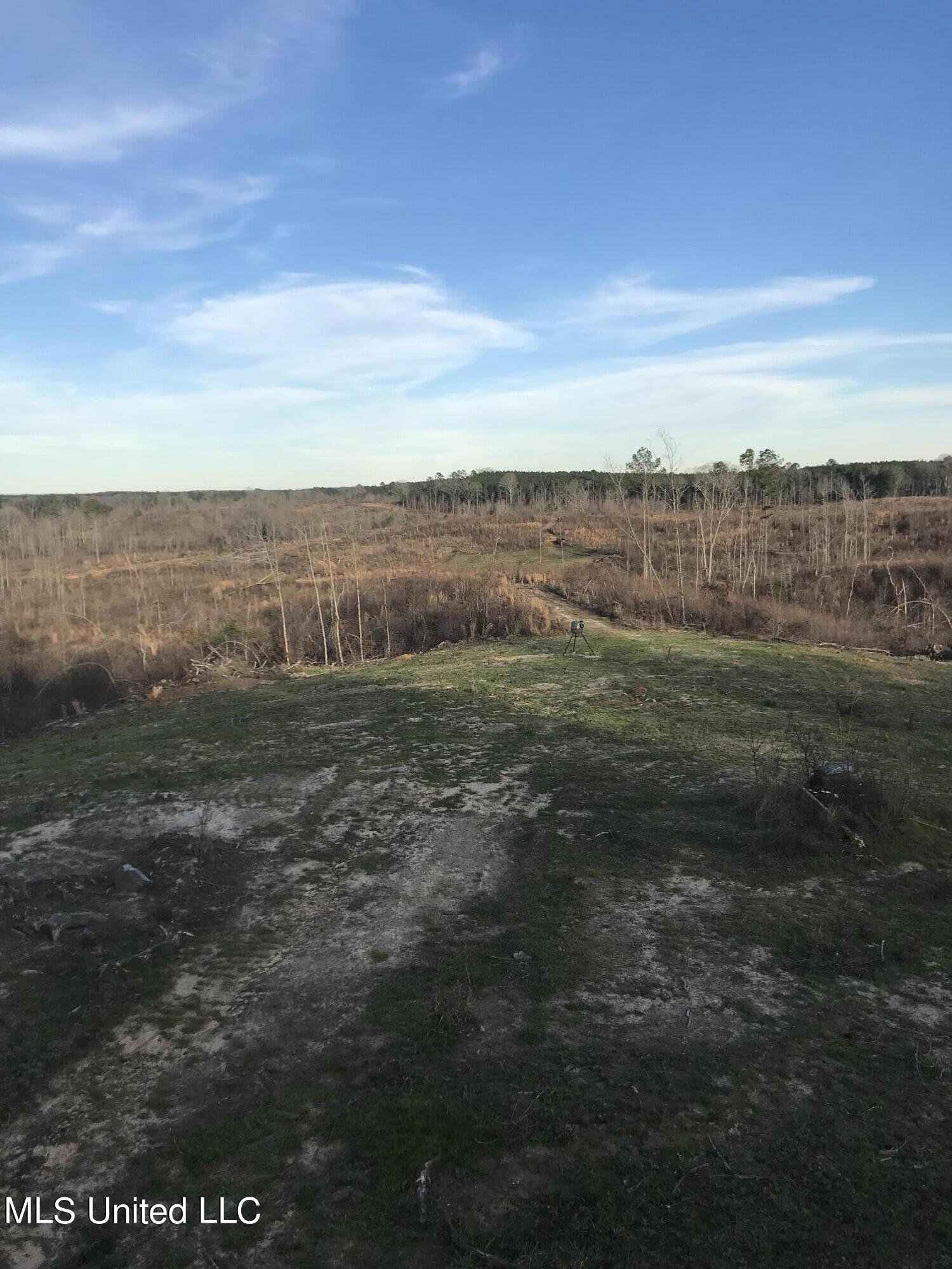 Robinson Road Carthage, MS 39051 - Photo 11 of 11 IMG-0822