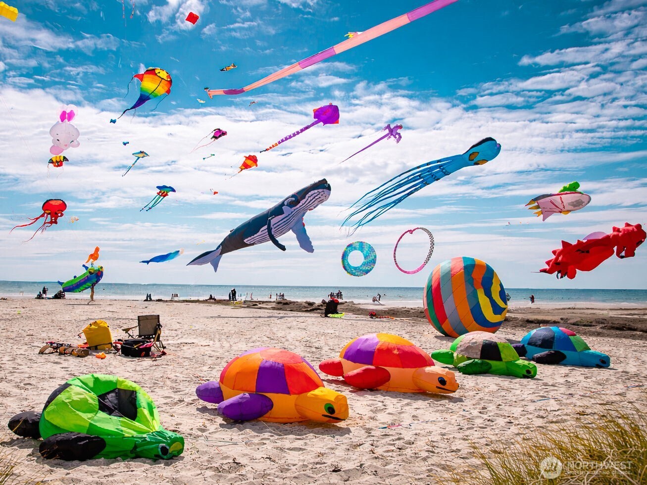 6 7th Street Southeast Long Beach, WA 98631 - Photo 15 of 23