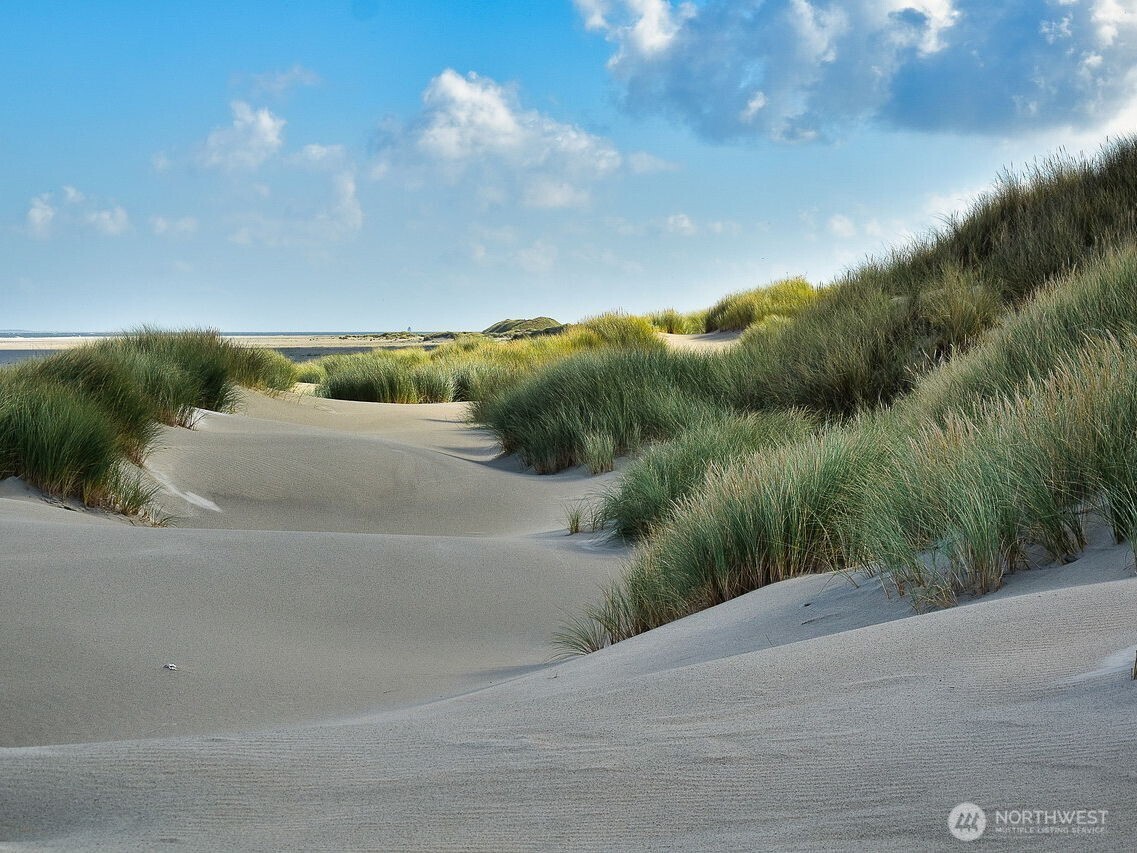6 7th Street Southeast Long Beach, WA 98631 - Photo 17 of 23 a view of a pathway both side of river and yard
