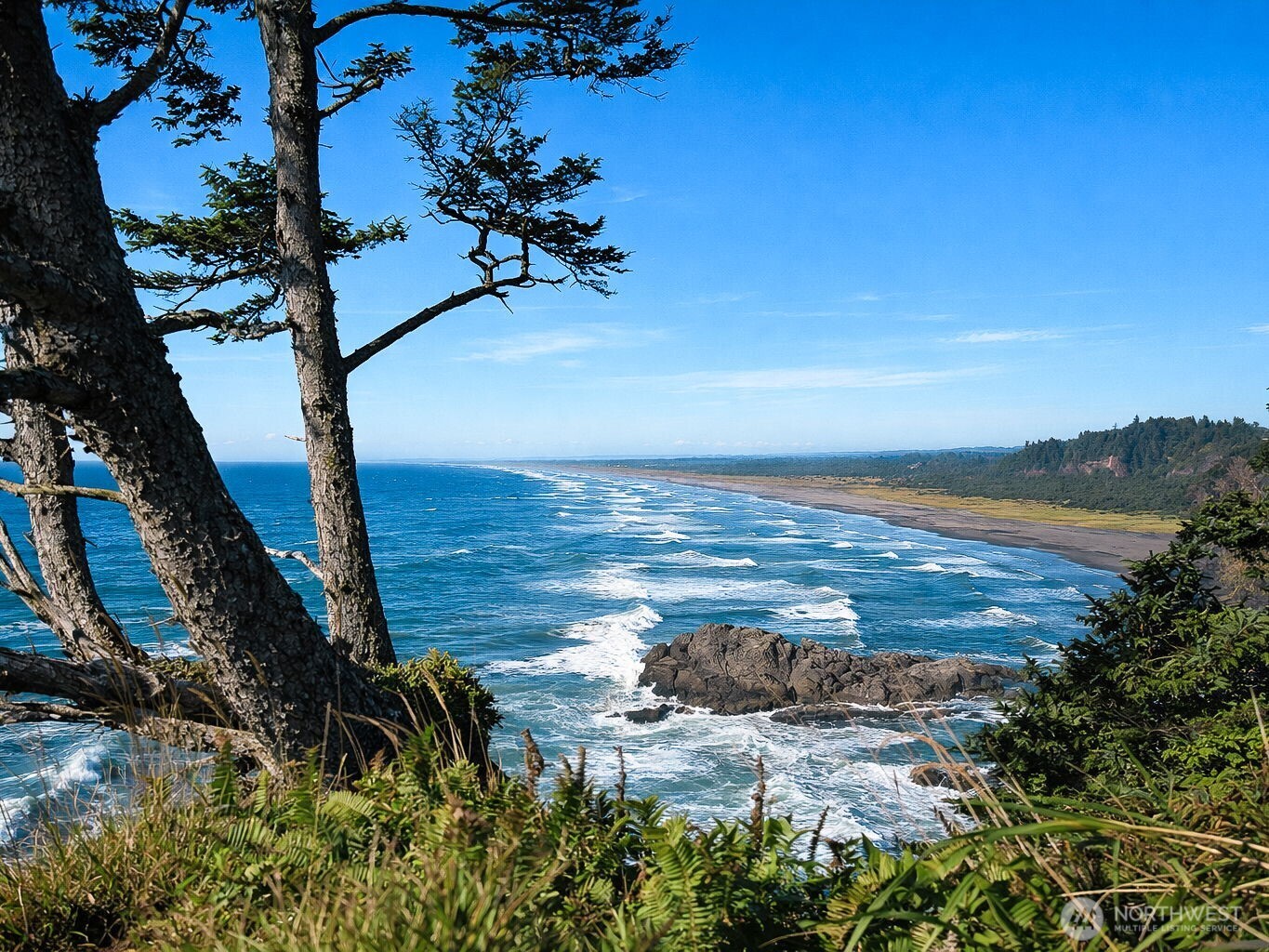6 7th Street Southeast Long Beach, WA 98631 - Photo 23 of 23 a view of a lake with a beach