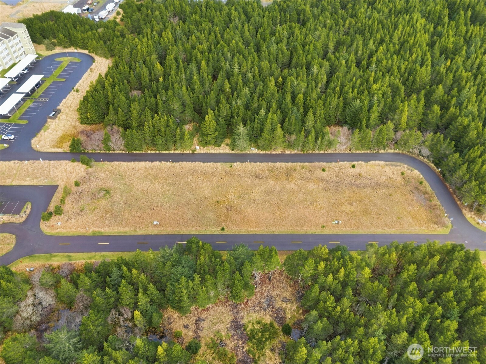 6 7th Street Southeast Long Beach, WA 98631 - Photo 9 of 23 a view of a yard with an outdoor space