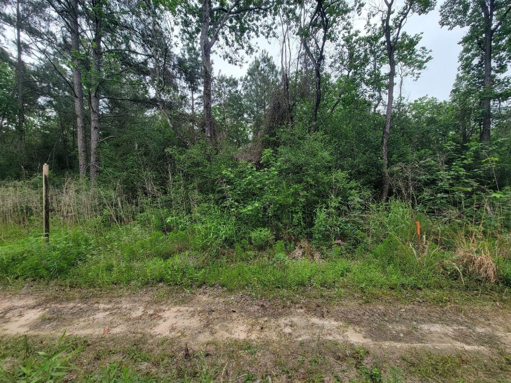 Tbd Hardy Street Houston, TX 77073 - Photo 6 of 10 a view of a forest