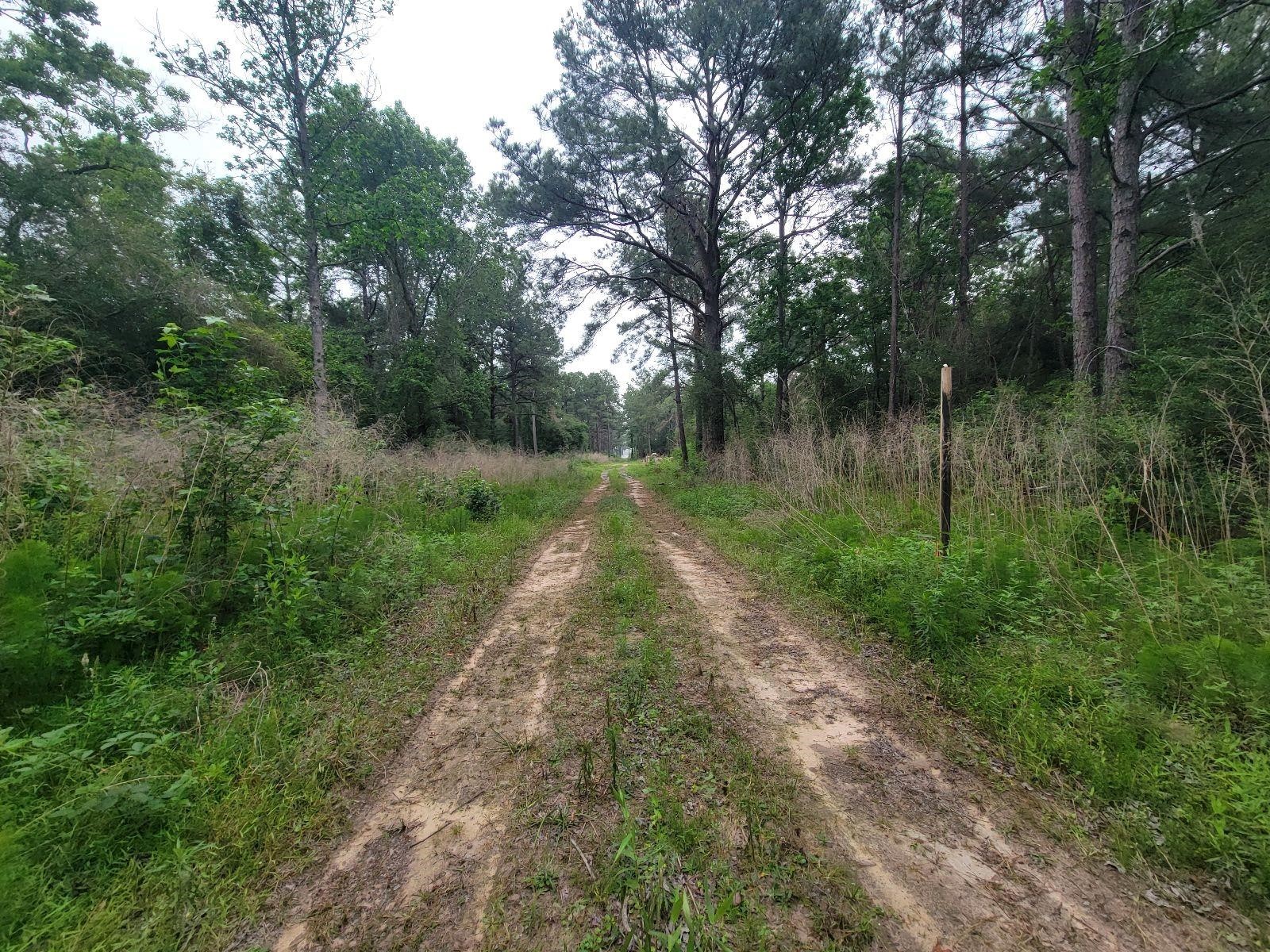 Tbd Hardy Street Houston, TX 77073 - Photo 7 of 10 A serene, wooded dirt path surrounded by lush greenery, offering a peaceful, natural setting ideal for those seeking tranquility and privacy.