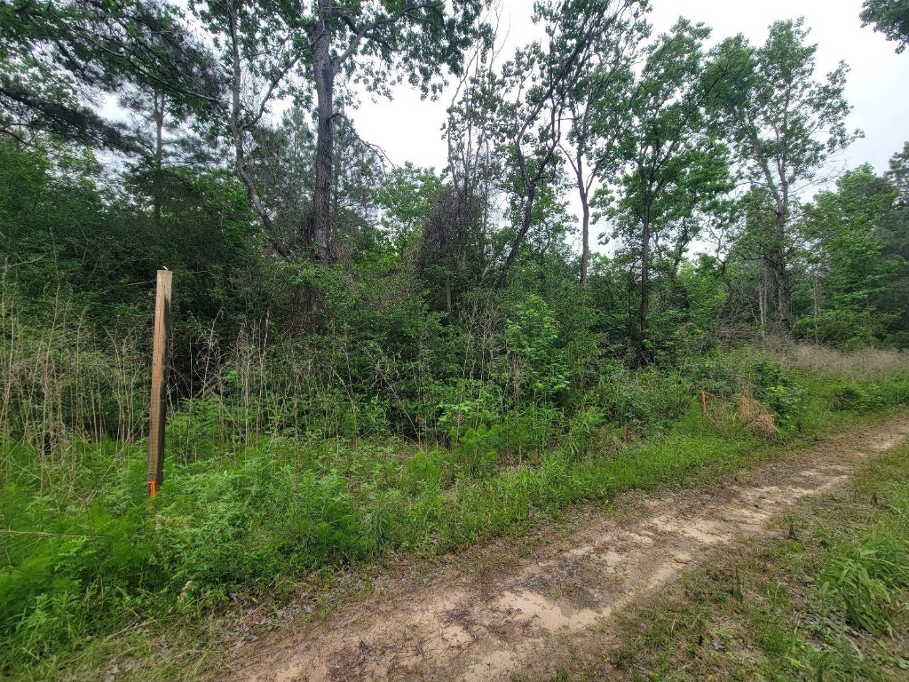 Tbd Hardy Street Houston, TX 77073 - Photo 8 of 10 a view of a field with a tree in the background