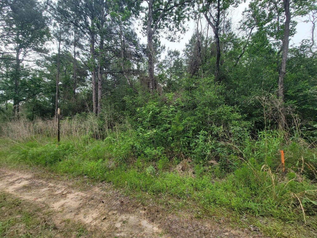 Tbd Hardy Street Houston, TX 77073 - Photo 9 of 10 a view of a forest