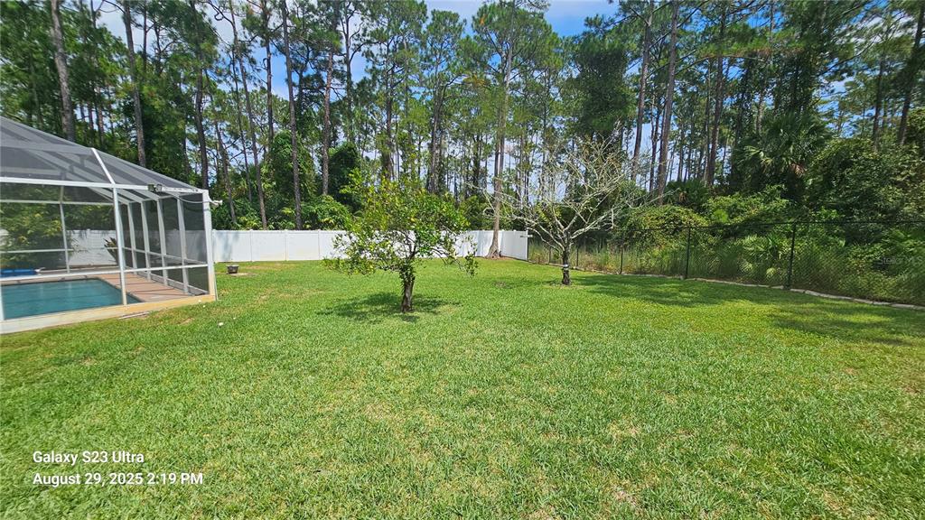 21 Lloleeta Path Palm Coast, FL 32164 - Photo 15 of 17 a view of a backyard with a garden