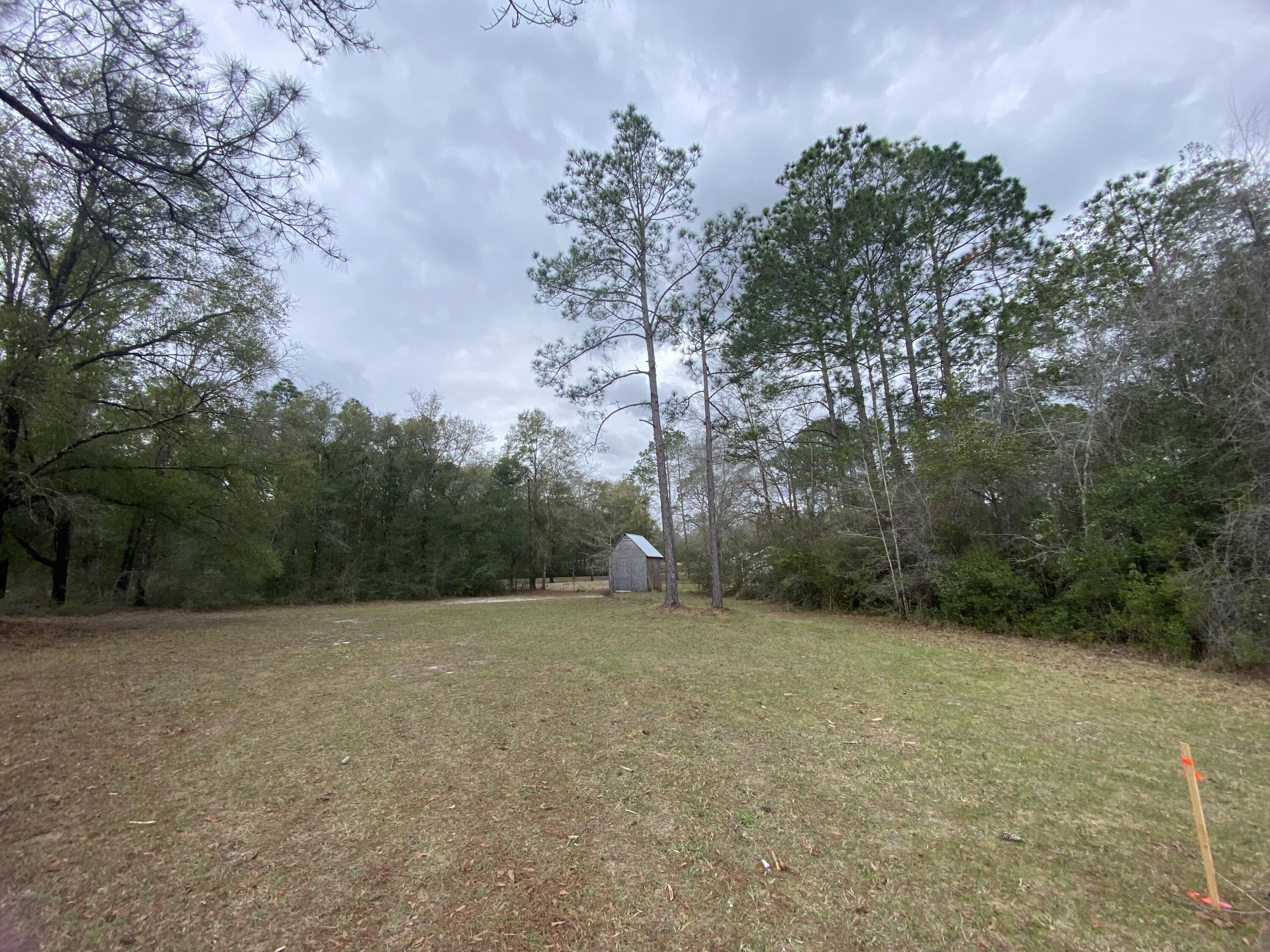 Xx Gilmore Road Holt, FL 32564 - Photo 2 of 3 a view of a field with trees in front of it