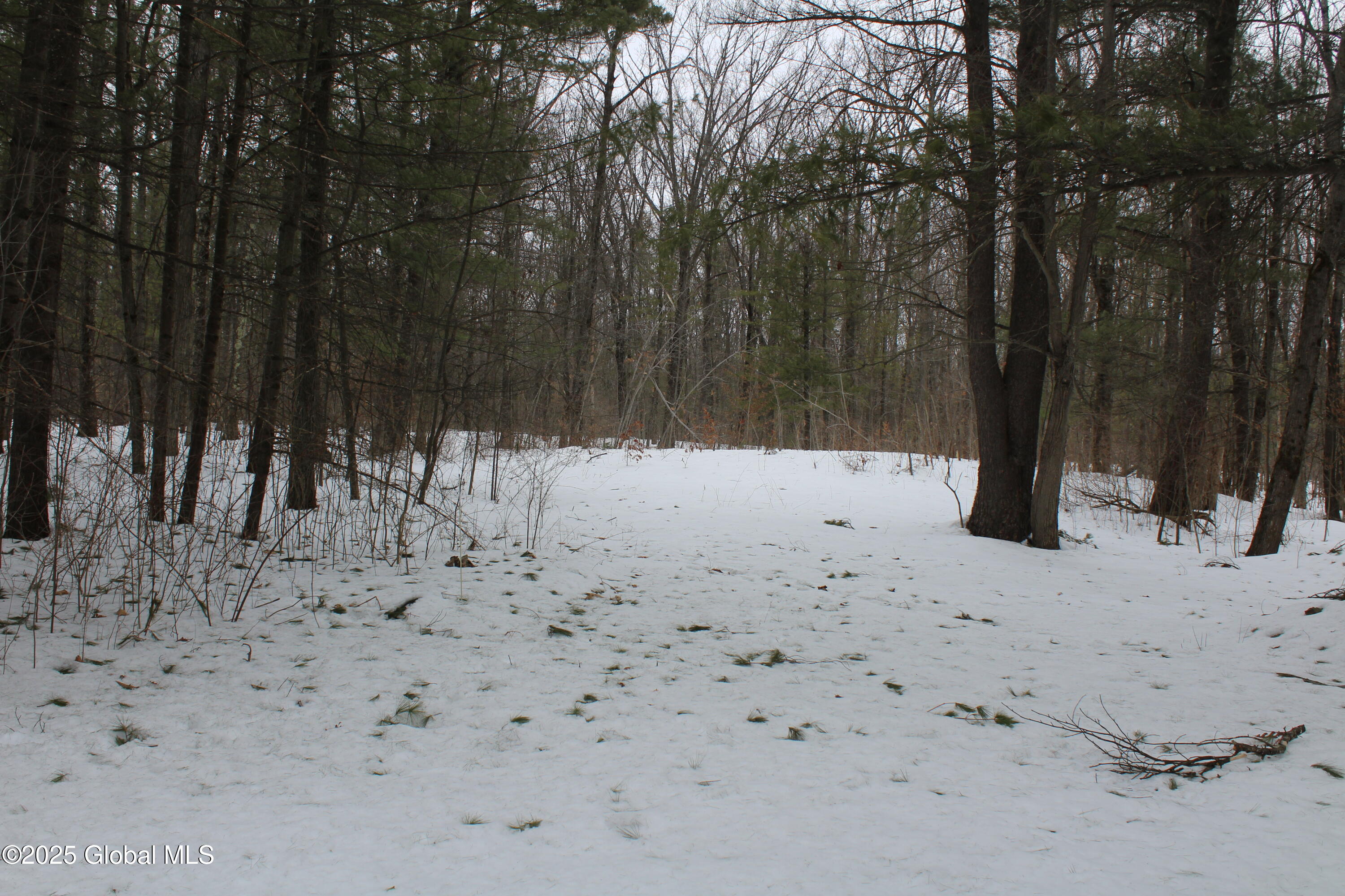 3224 Putnam Road Rotterdam, NY 12306 - Photo 41 of 41 Backyard