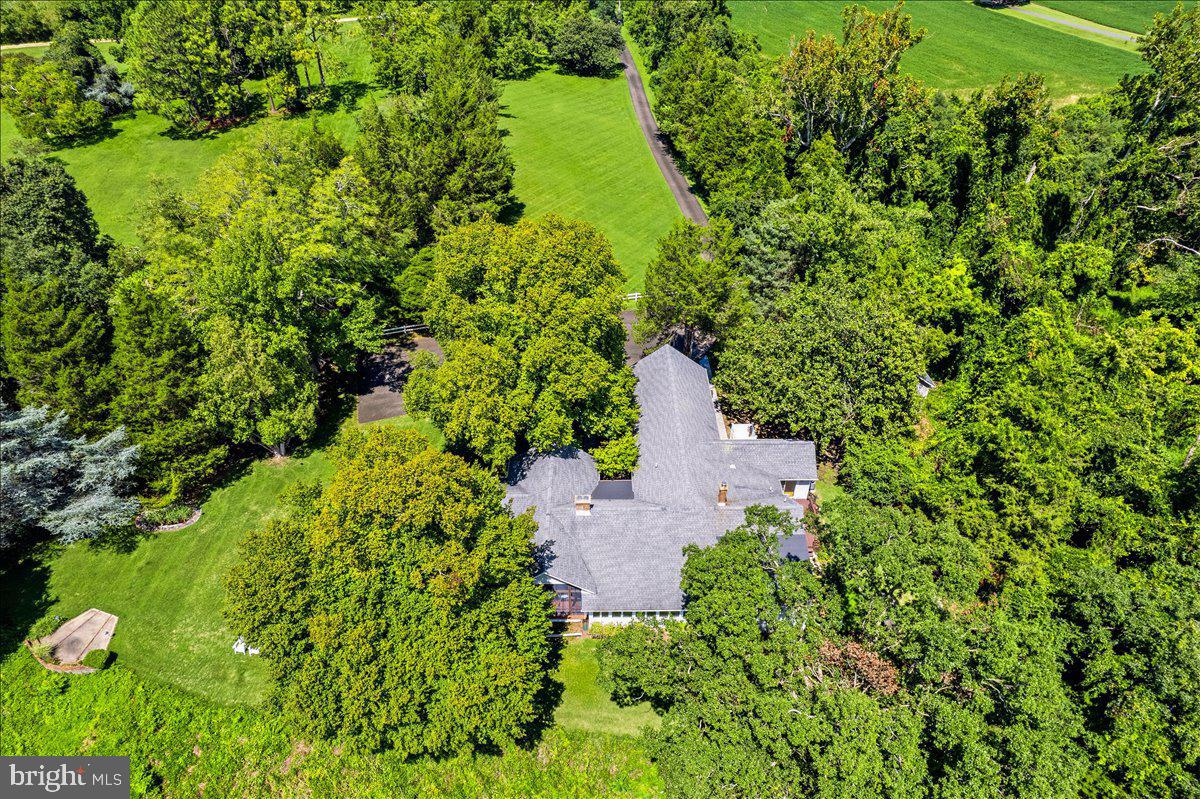 6110 Sheridan Point Road Prince Frederick, MD 20678 - Photo 13 of 77 Secluded retreat amidst lush greenery.