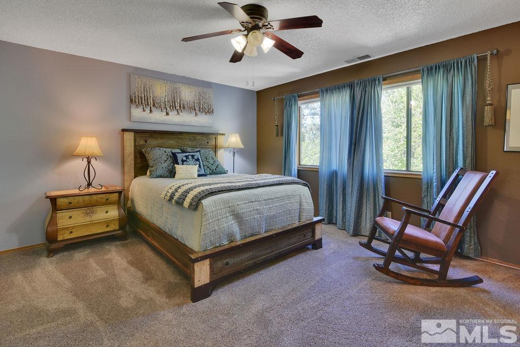245 Prickly Pear Road Verdi, NV 89439 - Photo 21 of 39 Photo 21