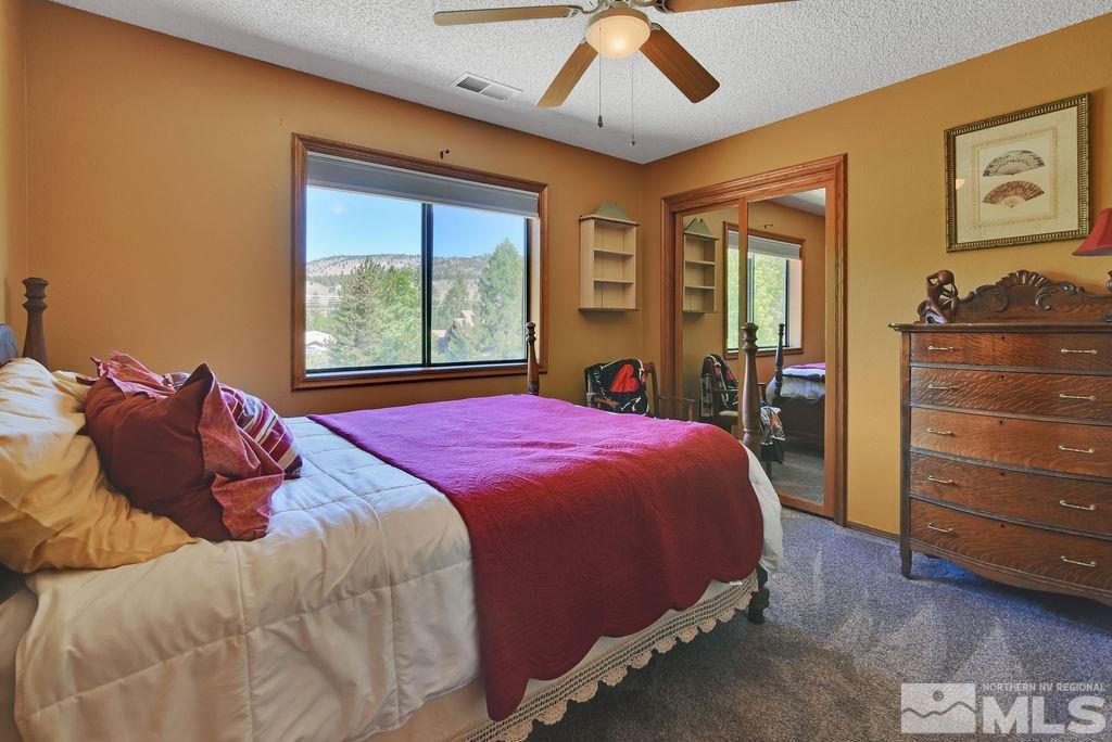 245 Prickly Pear Road Verdi, NV 89439 - Photo 28 of 39 Photo 28