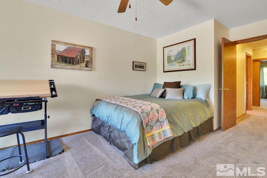 245 Prickly Pear Road Verdi, NV 89439 - Photo 29 of 39 Photo 29