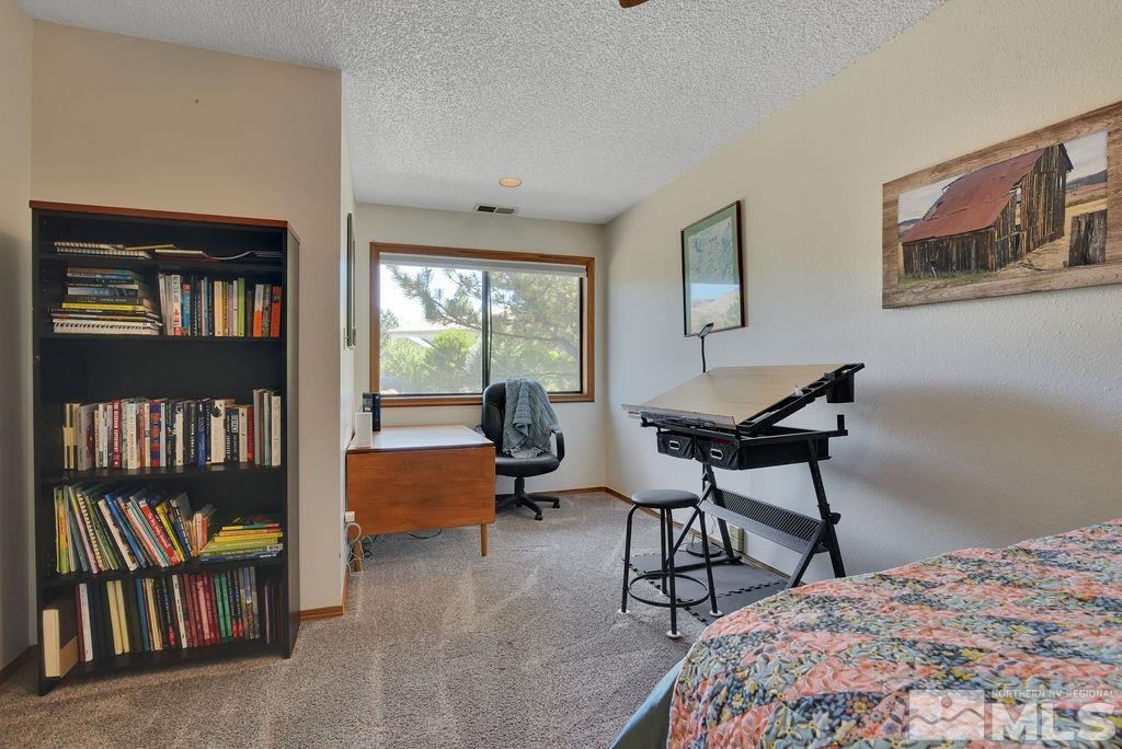 245 Prickly Pear Road Verdi, NV 89439 - Photo 30 of 39 Photo 30